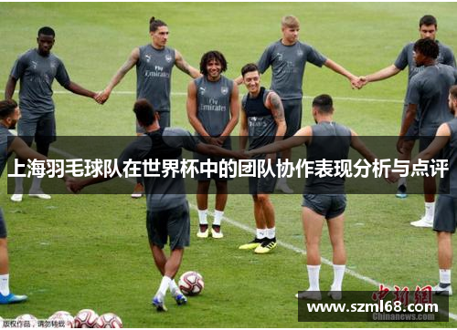 上海羽毛球队在世界杯中的团队协作表现分析与点评
