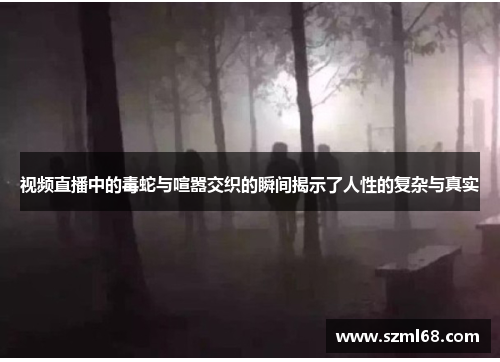 视频直播中的毒蛇与喧嚣交织的瞬间揭示了人性的复杂与真实