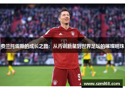 费兰托雷斯的成长之路：从青训新星到世界足坛的璀璨明珠
